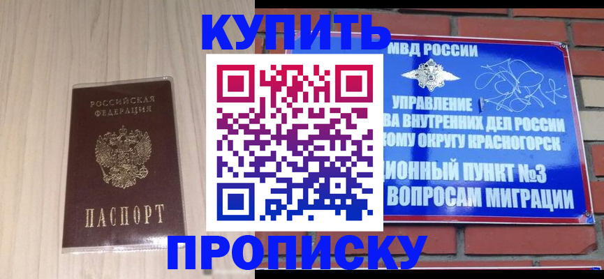 временная регистрация для всех в Светлогорске